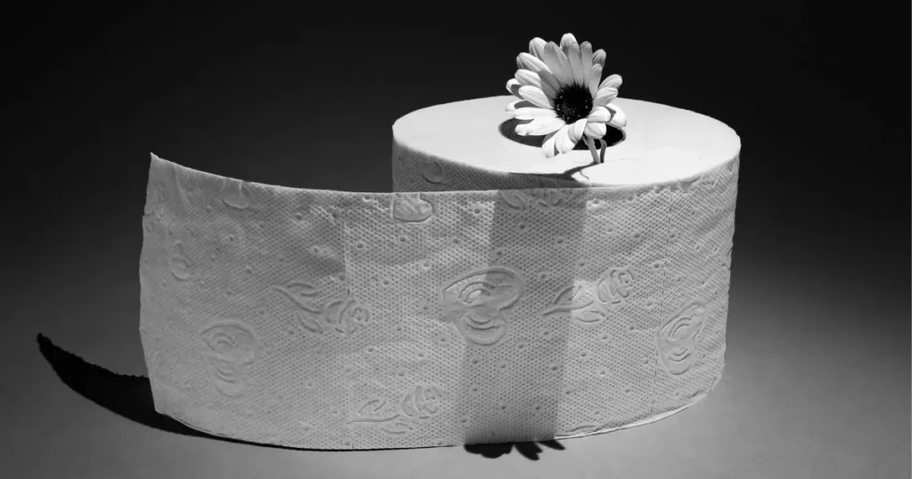 toilet paper roll crafts