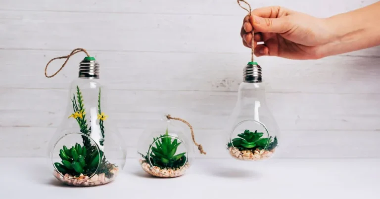 Old Bulb Reuse