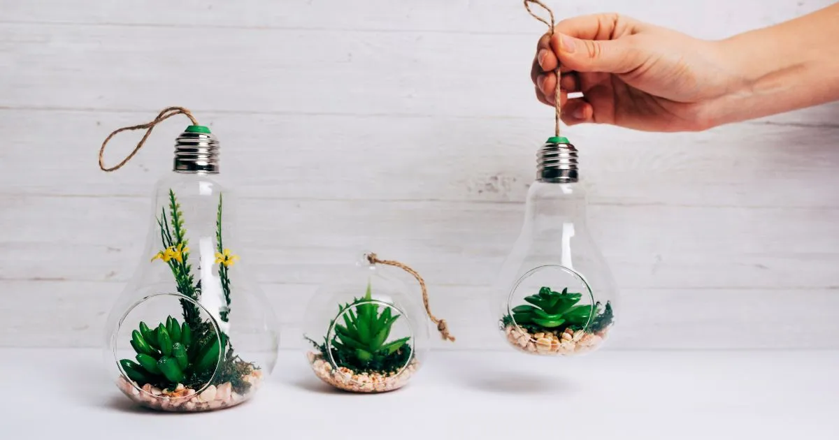 Old Bulb Reuse