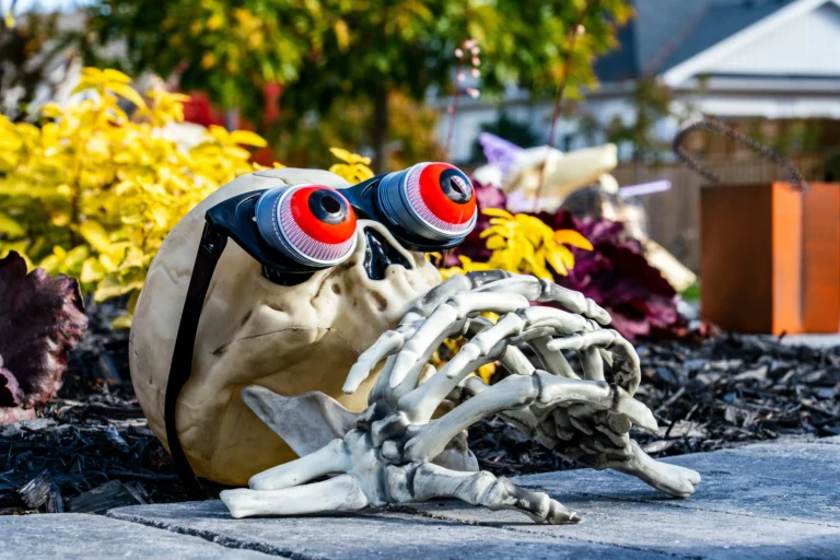 Halloween Decoration