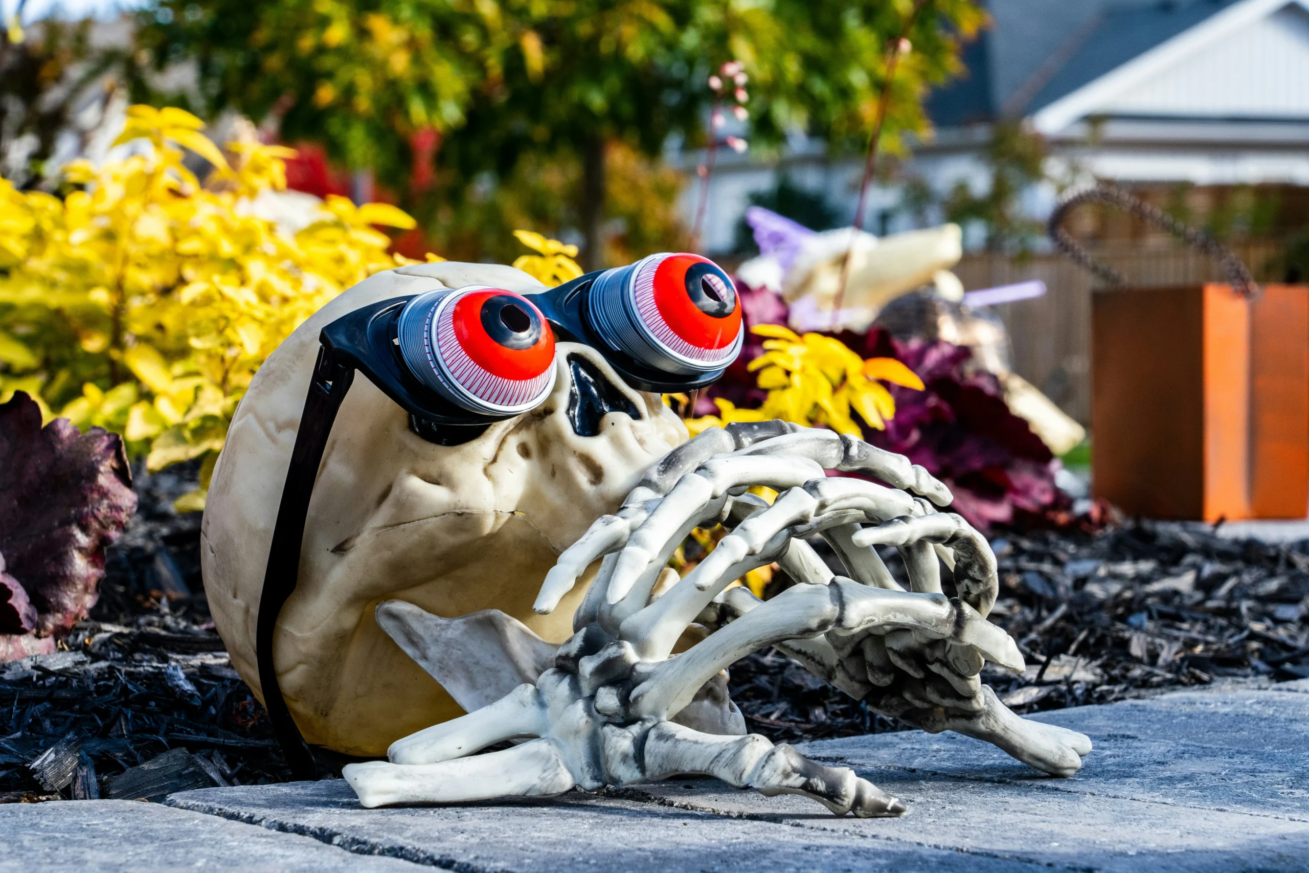 Halloween Decoration